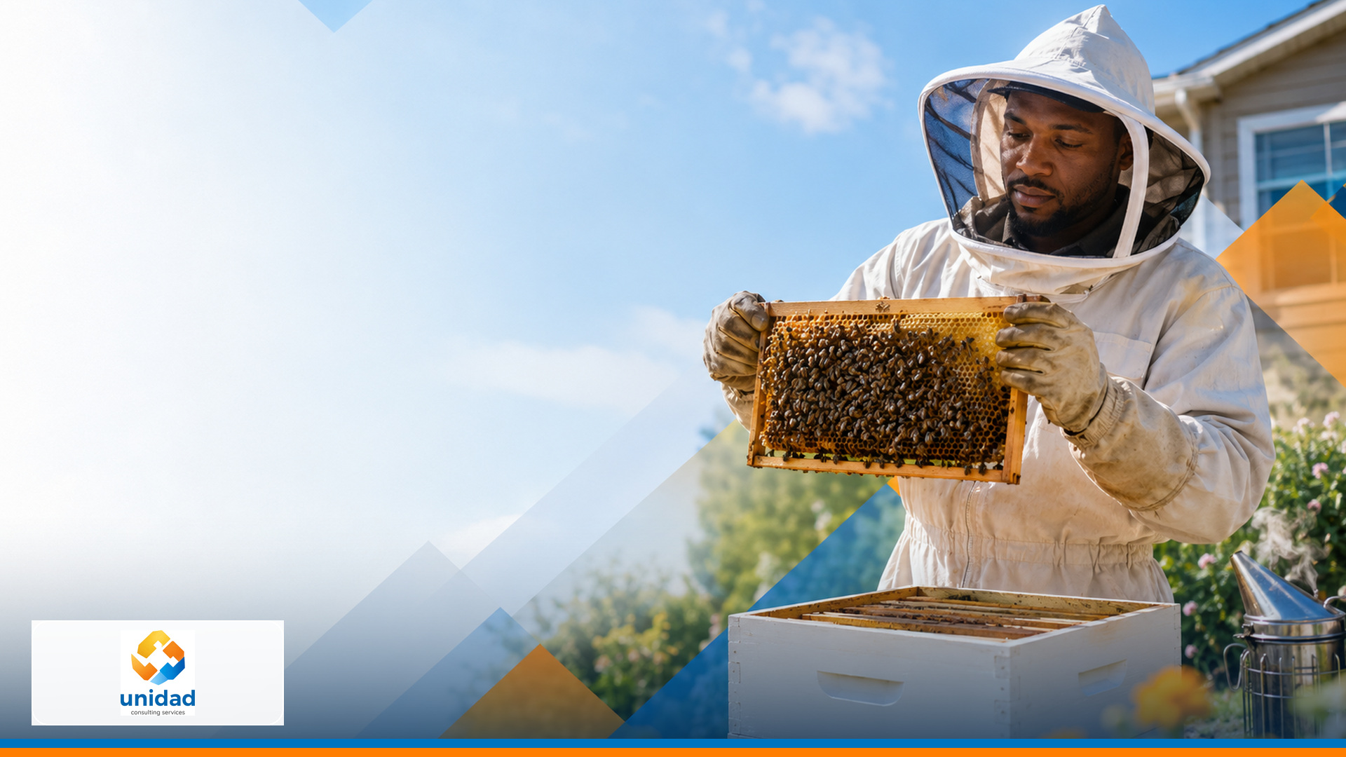 Bee-removal specialist safely inspecting a hive frame