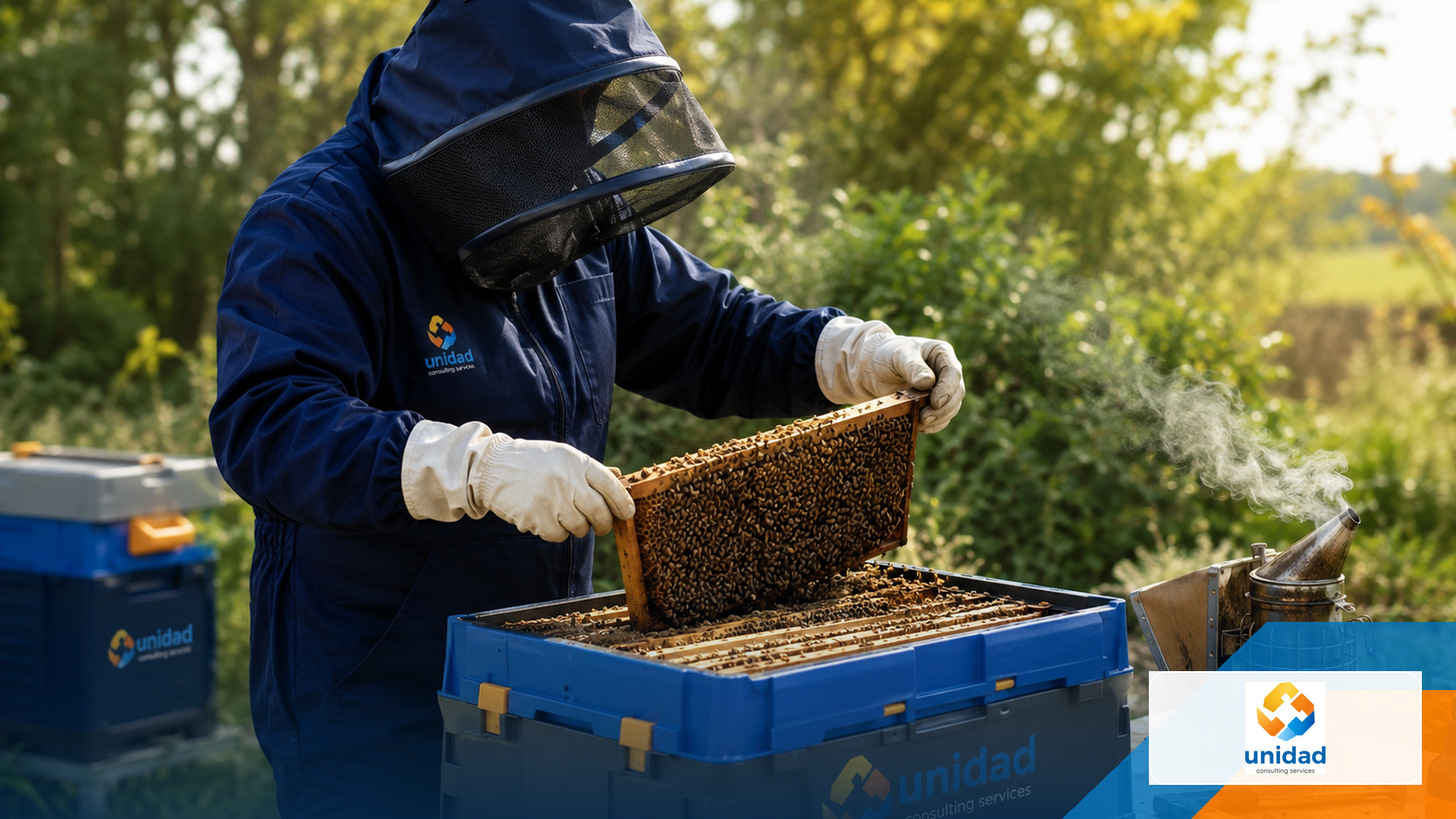 Protected bee specialist inspecting honeycomb and hive equipment